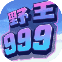 野王999-免广告-网盘资源网